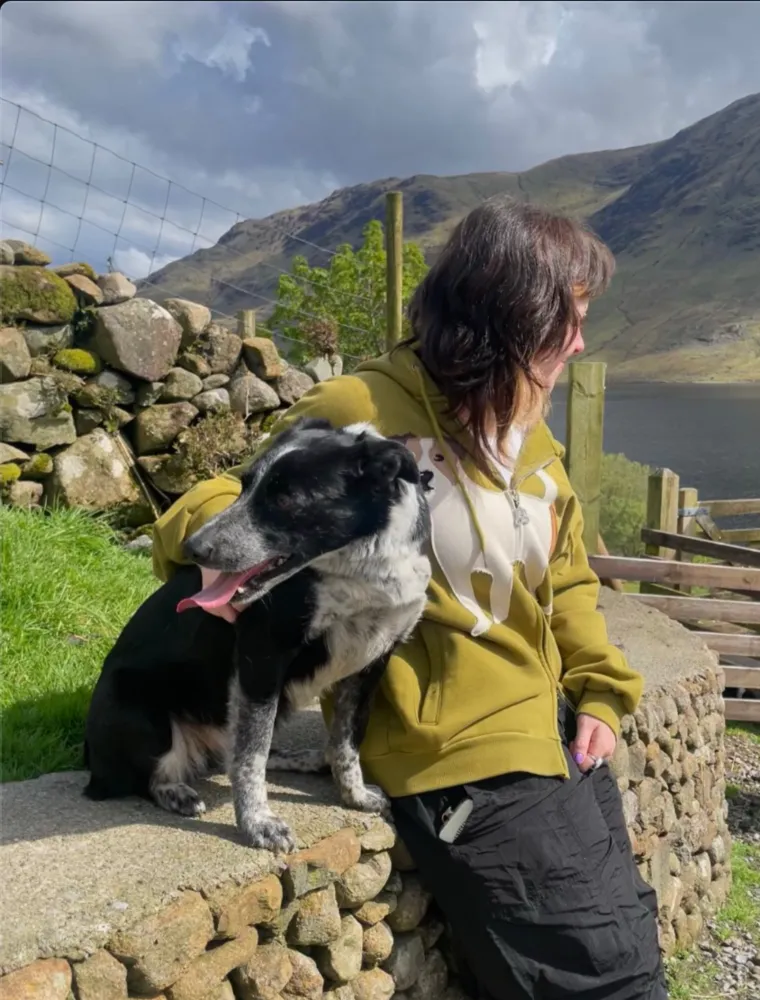 Sian sitting on a stone wall with a black and white working border collie